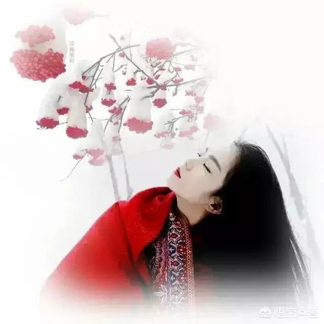 挪威的森林汽车品牌介绍,挪威的森林是什么品牌