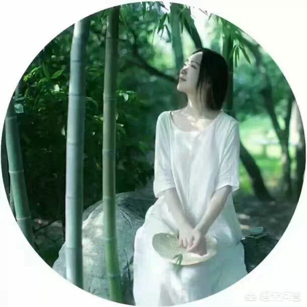 挪威的森林汽车品牌介绍,挪威的森林是什么品牌