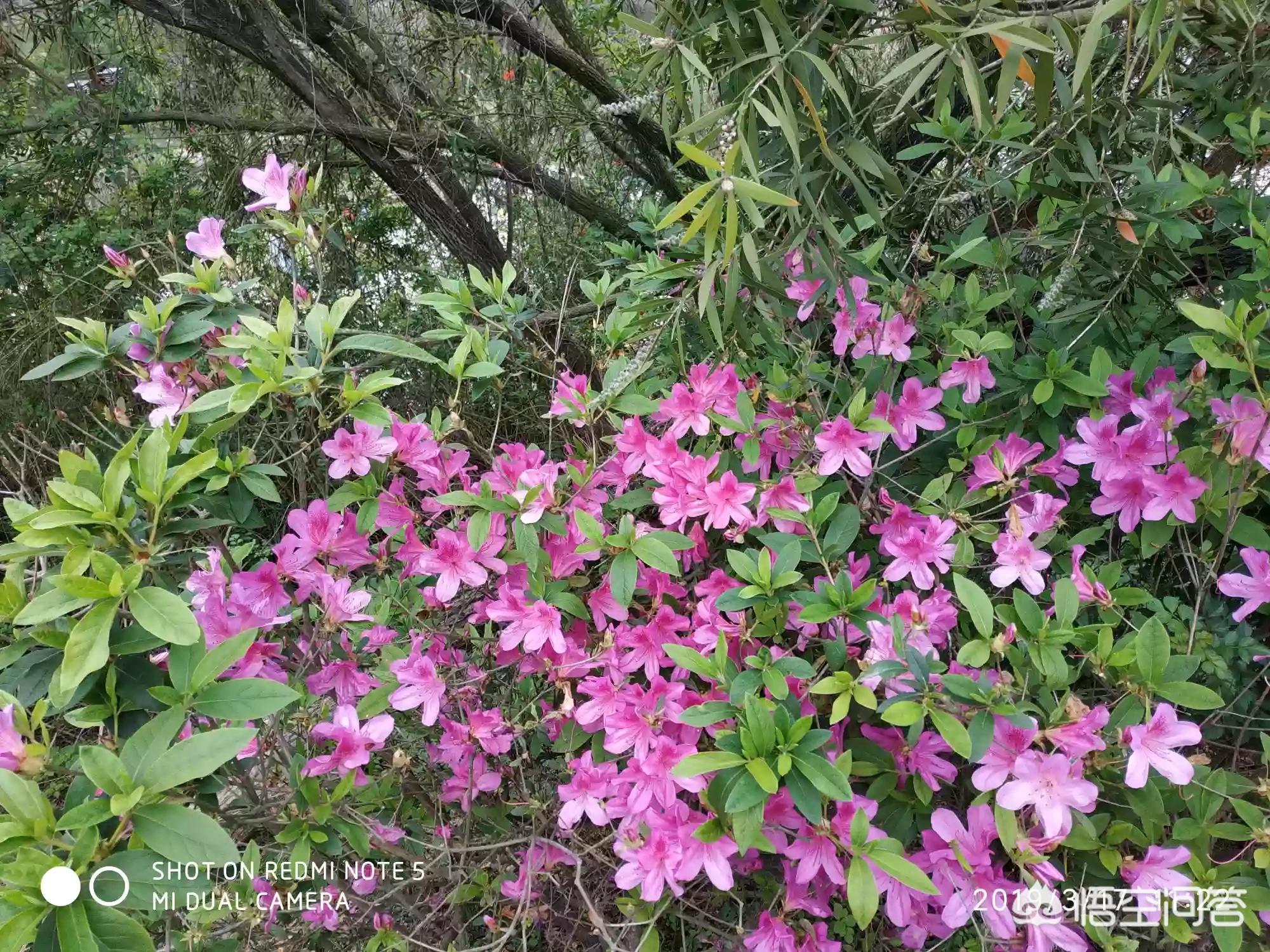 厦门市租房价多少钱