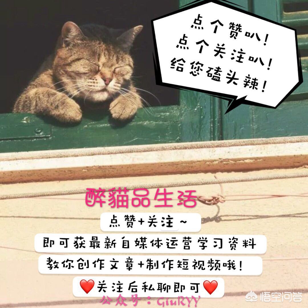 在中国大陆怎么使用脸书