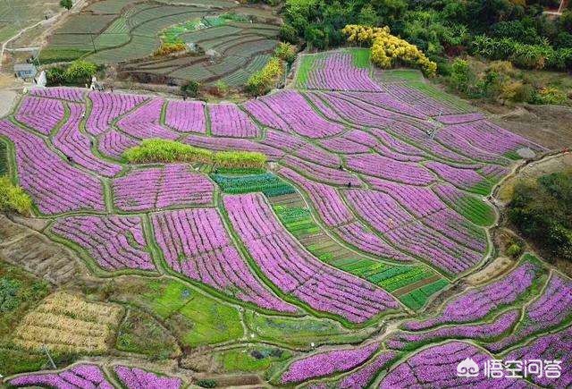 厦门有哪些历史文化名村？