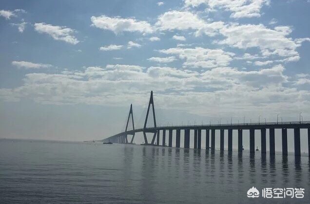宁波市余姚江有什么鱼