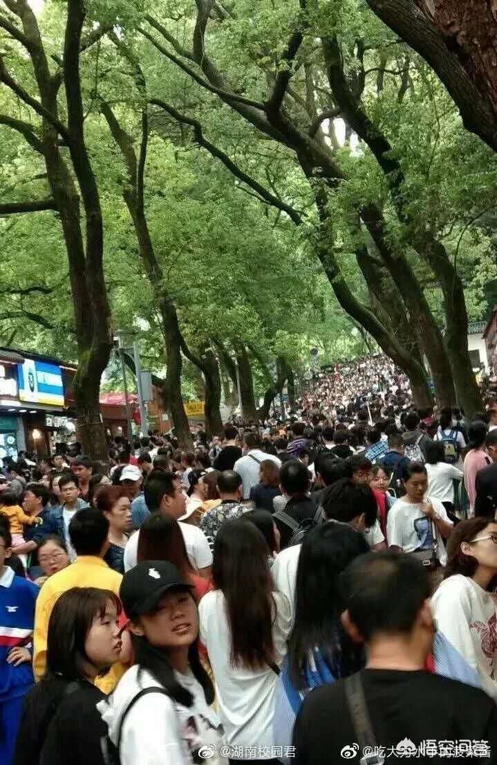 为什么感觉2019年的长沙流动人口少了很多啊？
