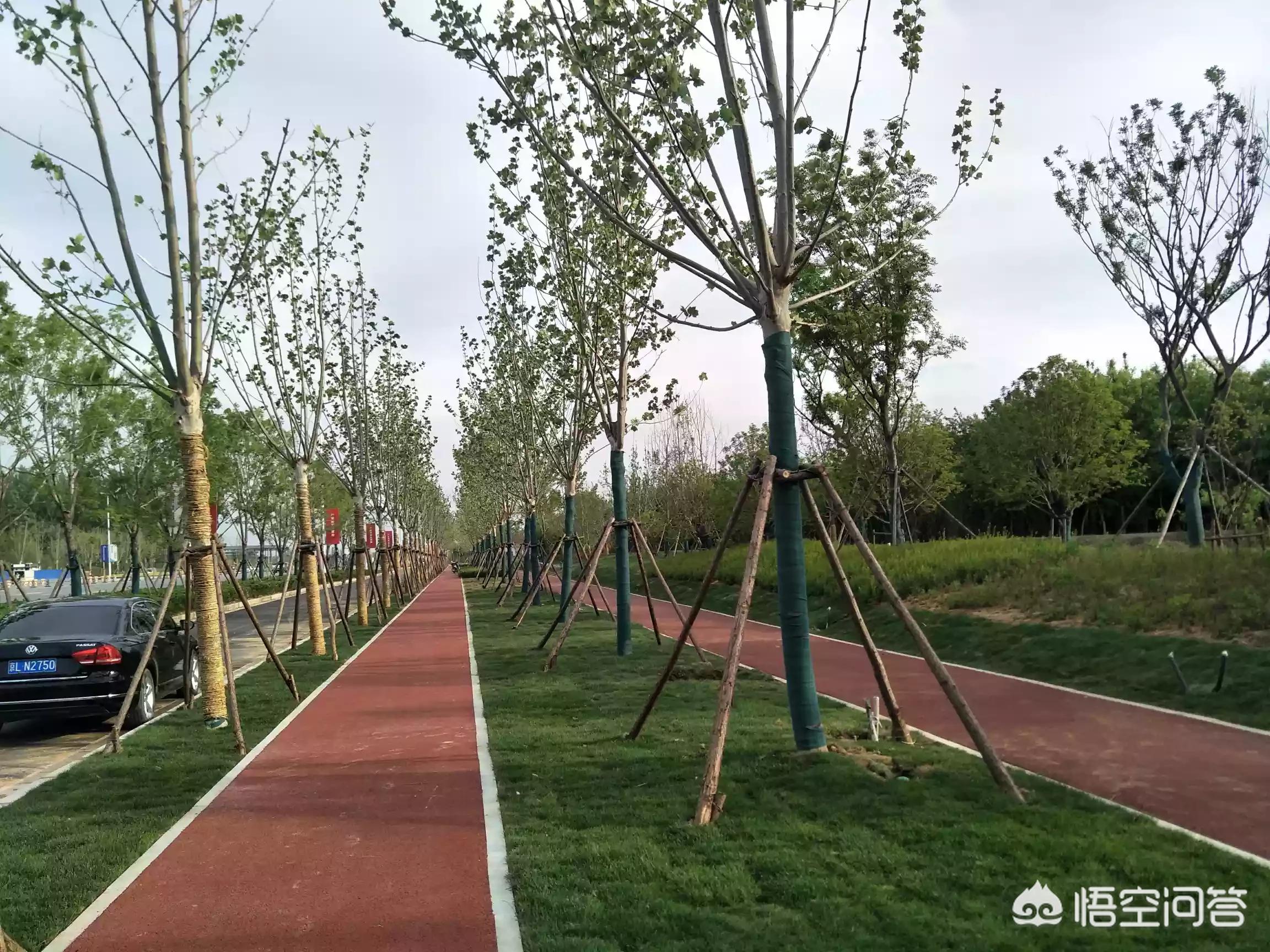 “郑许一体化”会给许昌带来怎样的发展前景？