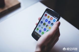 月活月活是什么意思?