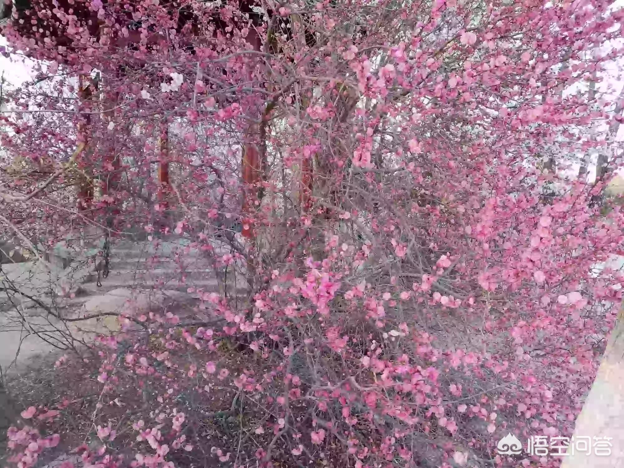 河南洛阳跑外卖怎么样 河南洛阳跑外卖怎么样