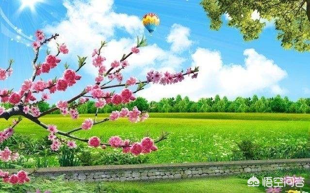 5年还没走出繁花（人生如路,须在荒凉中走出繁华的自己什么意思？）
