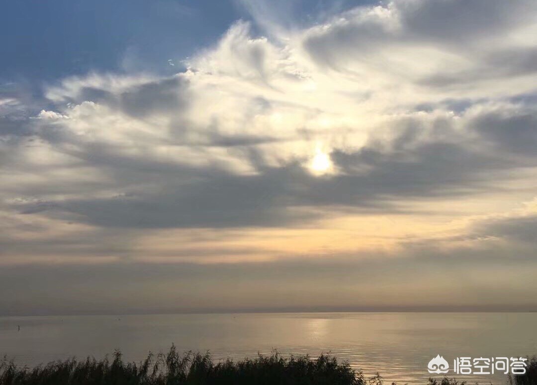 宁波市余姚江有什么鱼