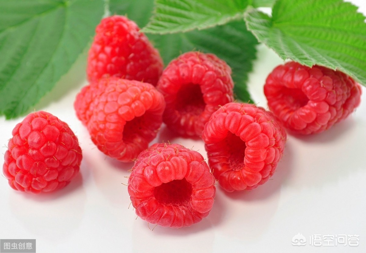 枸杞子和覆盆子可以一起泡水喝吗？