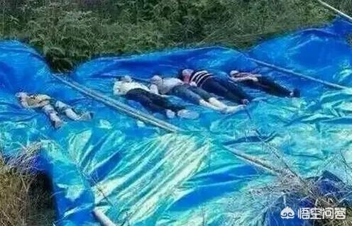 如果你的2岁女儿在游乐场被对方妈妈当你面拽着头发，你会怎么做？：男孩商场拽母亲衣领