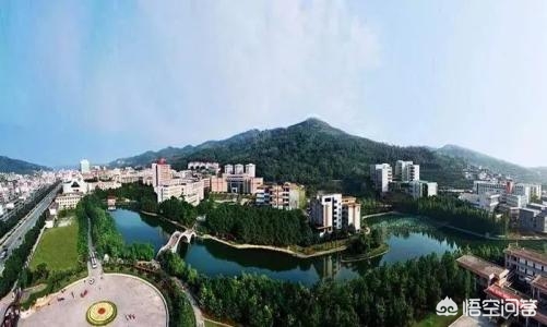 吉首阅读app开发公司