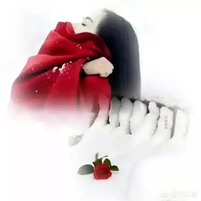 挪威的森林汽车品牌介绍,挪威的森林是什么品牌