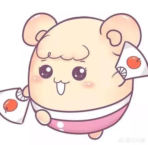 被美妆博主种草好物
