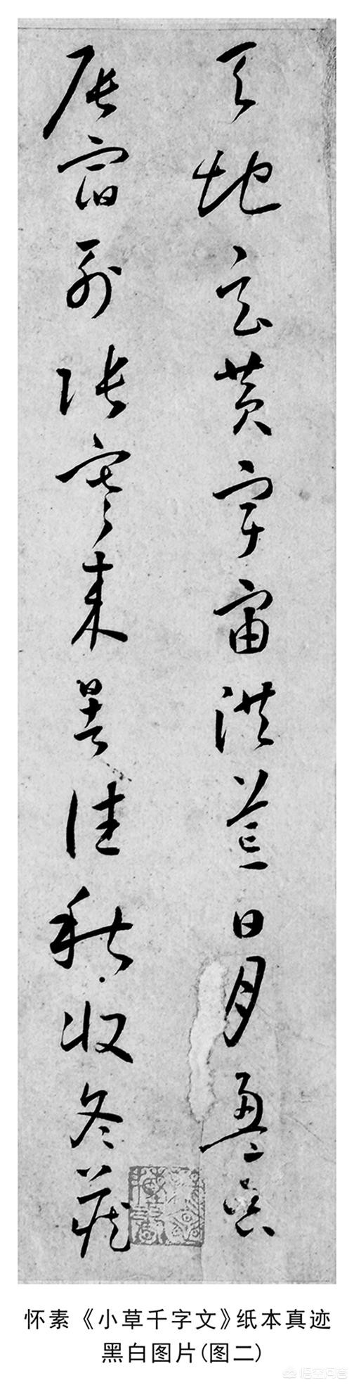 第草书怎么写字体语文