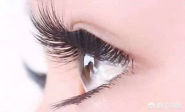 不登不登高山,不知天之高也;不临深溪,不知地之厚也