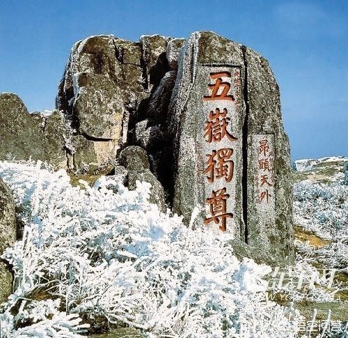 泰安市和大连市哪个大