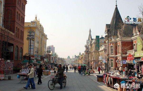 大连市最著名的树是什么 大连市最著名的树是什么