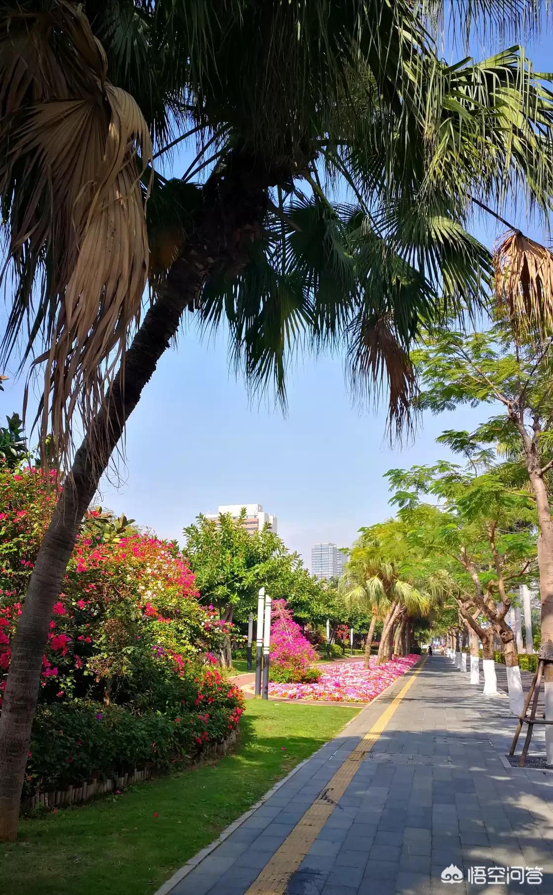 厦门市十大花园在哪里 厦门市十大花园在哪里