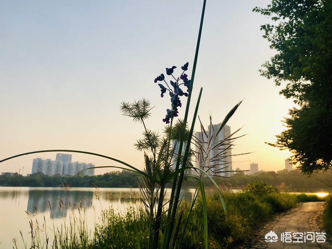 在南宁市怎么找工作容易