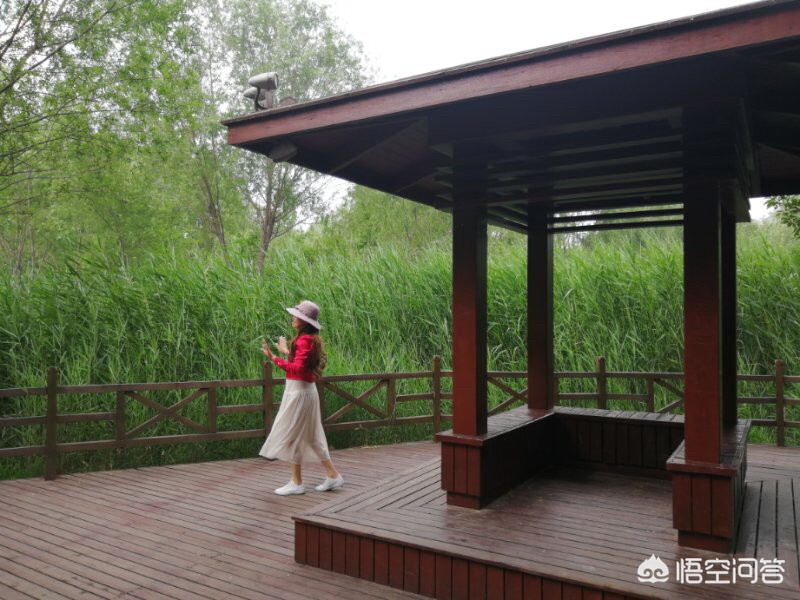 大妈的海外生活视频，大妈的海外生活视频在线观看