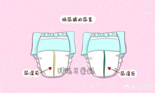 尿不湿尿不湿十大名牌排行榜