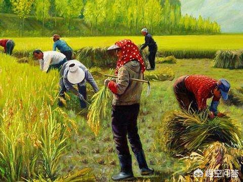 小鹿在海外生活的视频大全，小鹿在海外生活的视频大全集