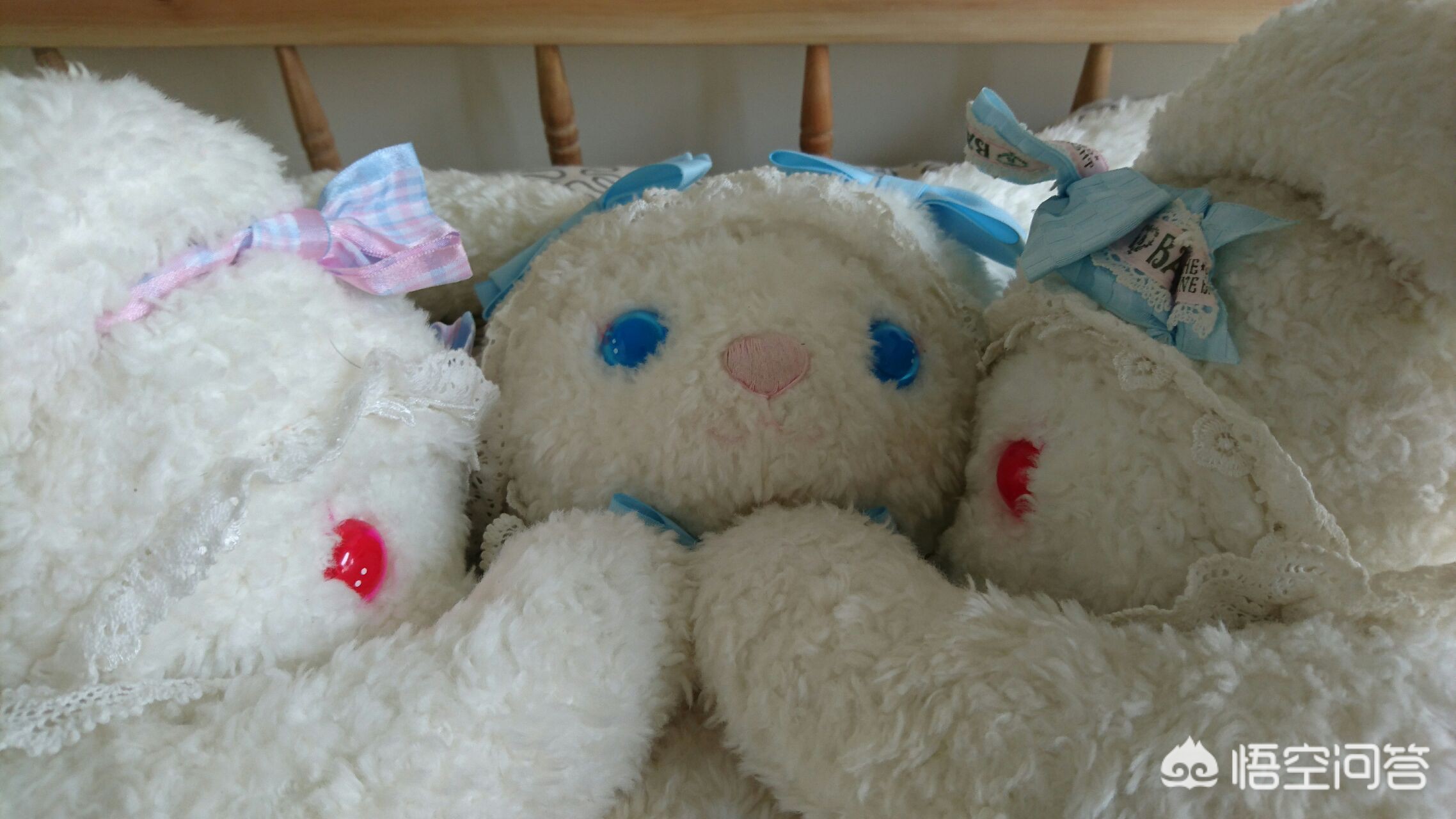 兔圈的最新搭建方法？：刷兔圈