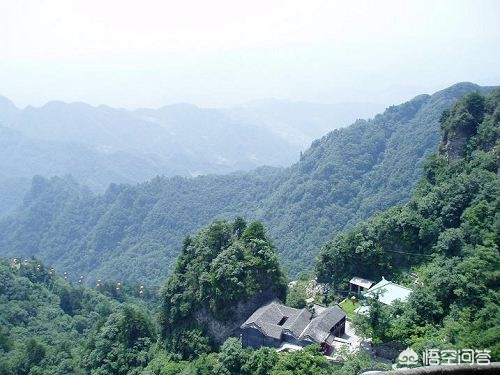 宁波市余姚江有什么鱼