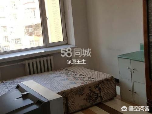 宁波市和哈尔滨市哪个好