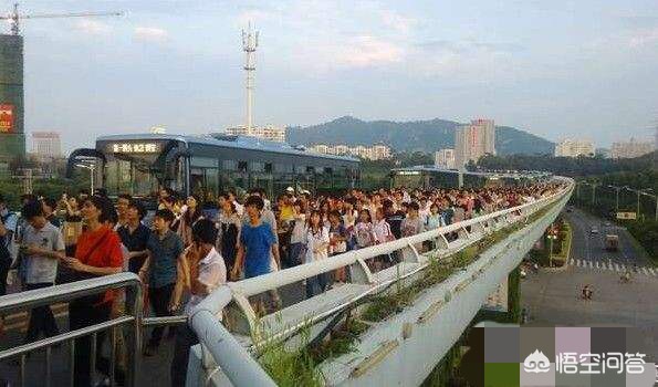 厦门市现在路上的车有多少量