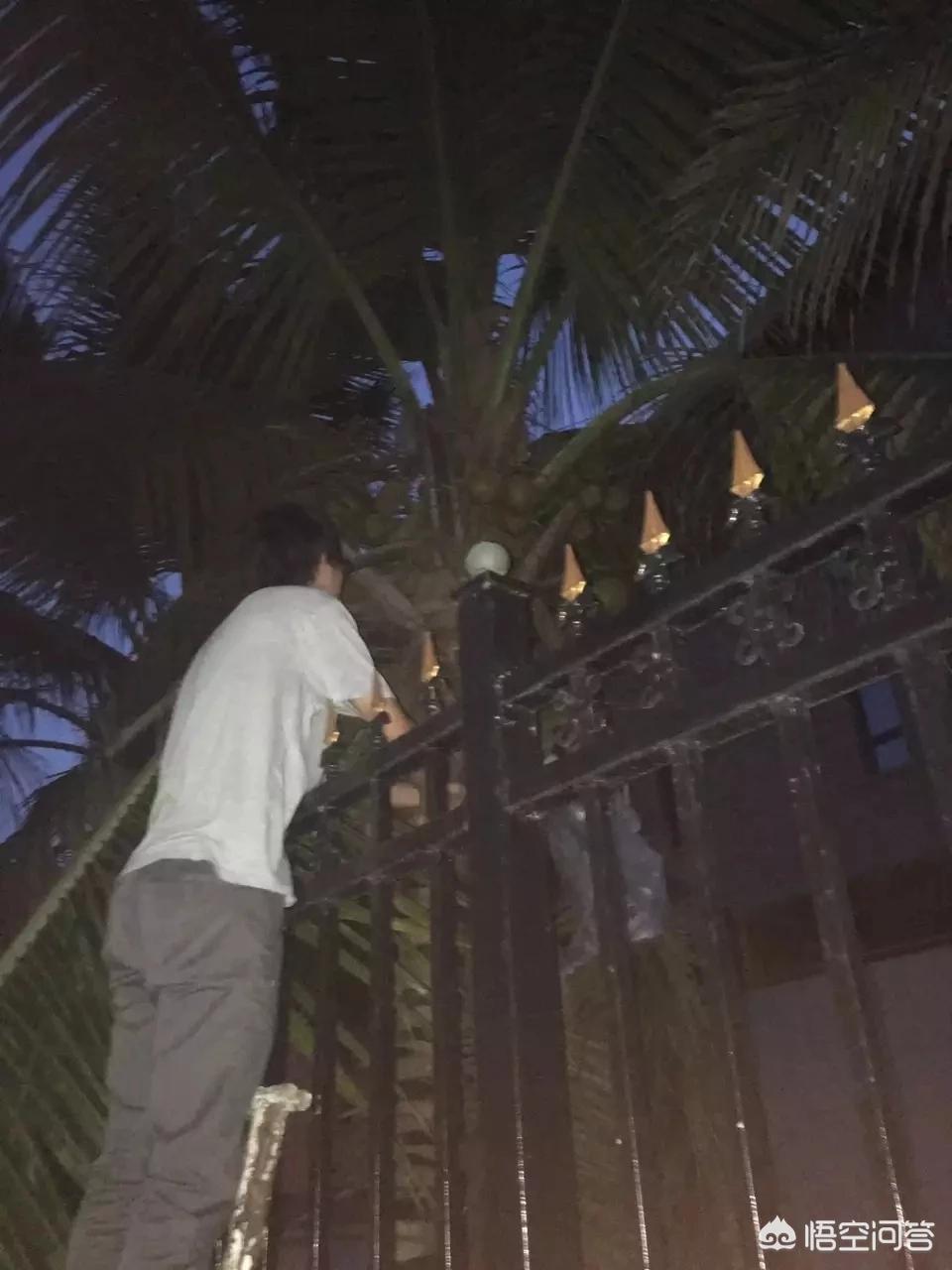 海外生活的打工人，海外生活的打工人叫什么