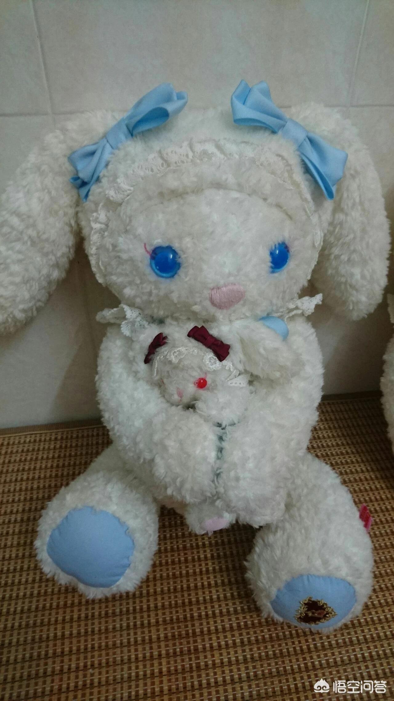 兔圈的最新搭建方法？：刷兔圈