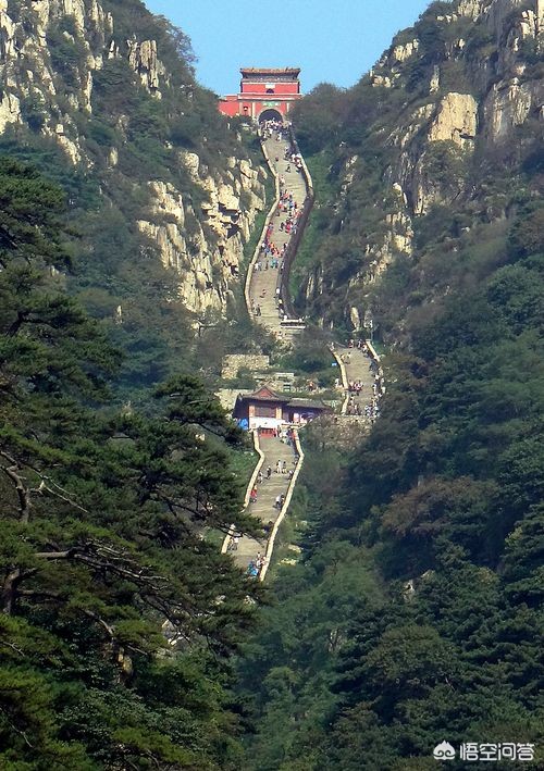泰安市和大连市哪个大
