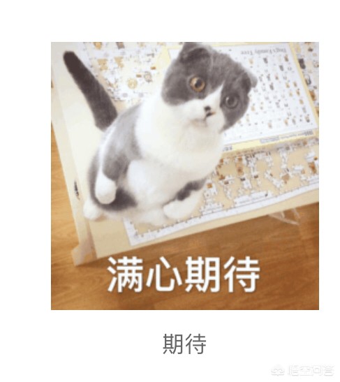 广州市水务局原址是什么