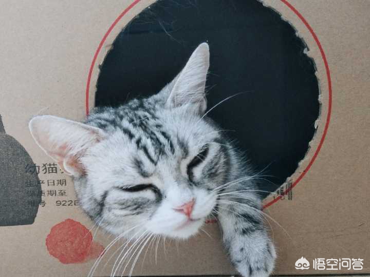 美的汽车报价大全,美的汽车报价大全图片