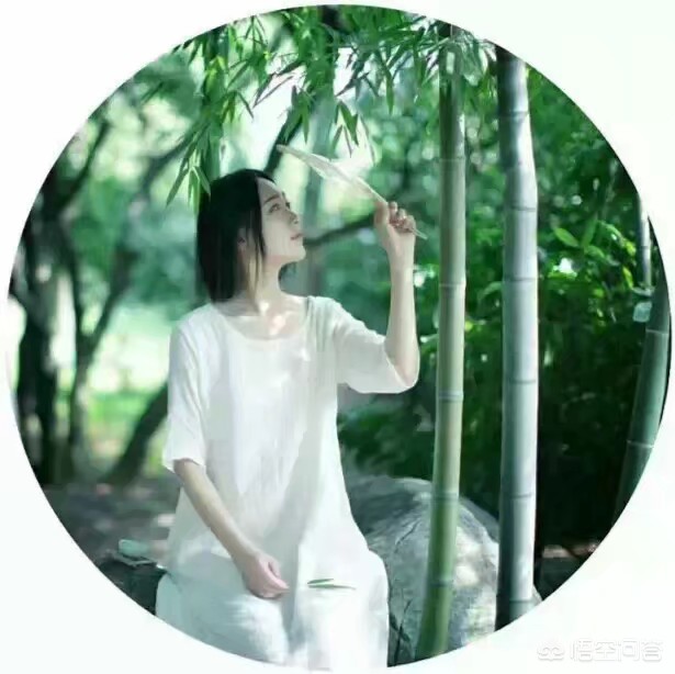 挪威的森林汽车品牌介绍,挪威的森林是什么品牌