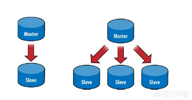 服务器搭建网站 phpmyadmin