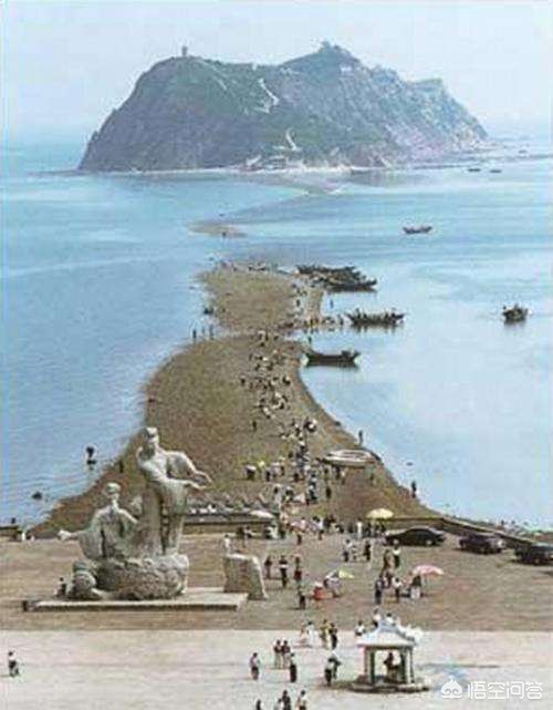 泰安市和大连市哪个大