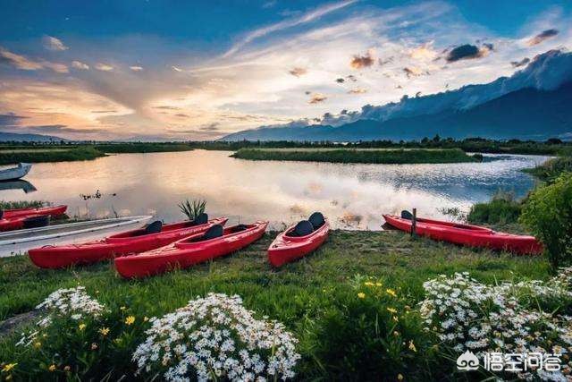 纸飞机购买服务如何投诉