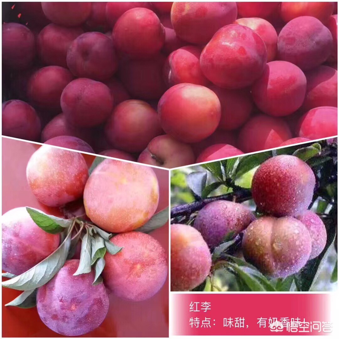无锡市附近哪里有玩的