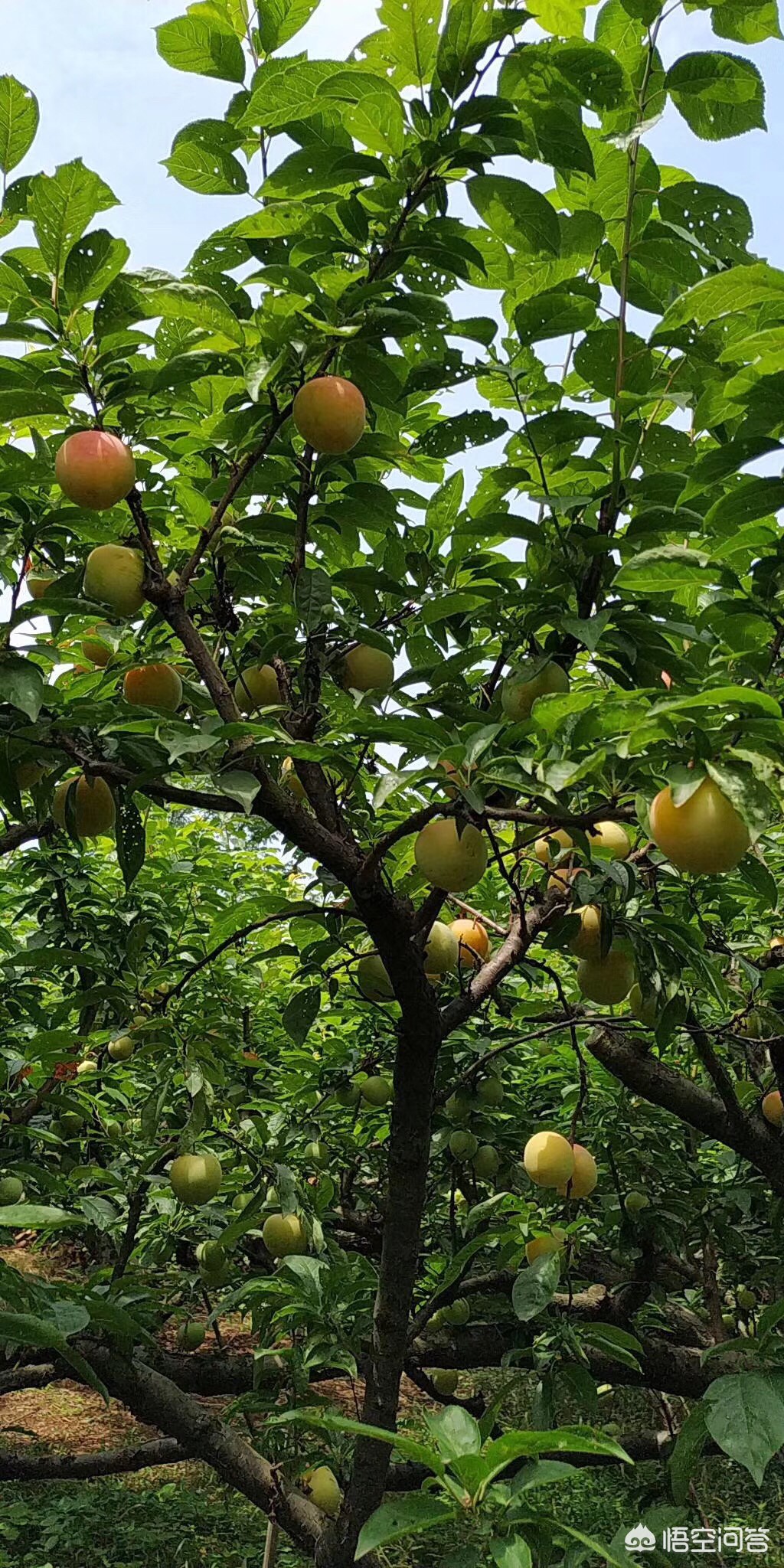 无锡市附近哪里有玩的