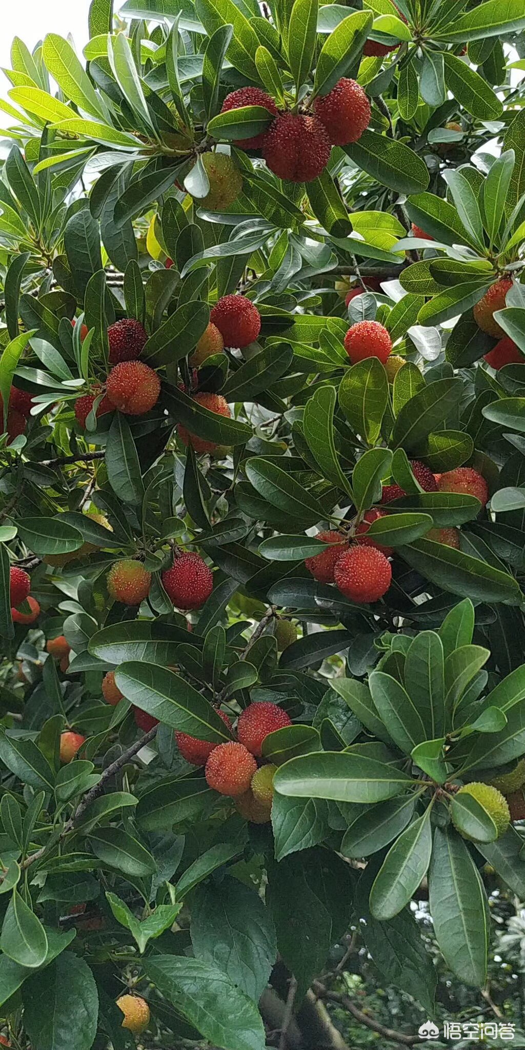 无锡市附近哪里有玩的