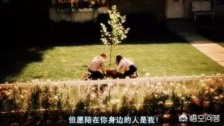 有哪些温馨的爱情电影值得的收藏