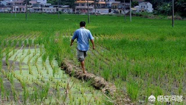 网站制作软件小学,有什么强大到可以看世界各地影视资源的网站或软件?