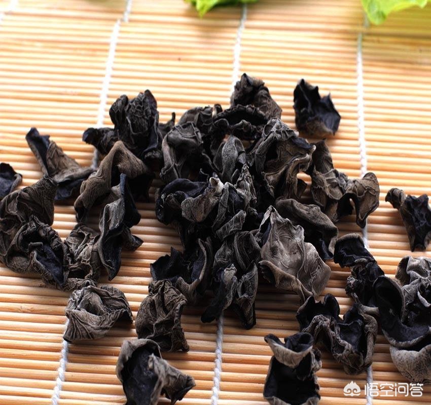 甘肃省陇南市的特产有哪些？