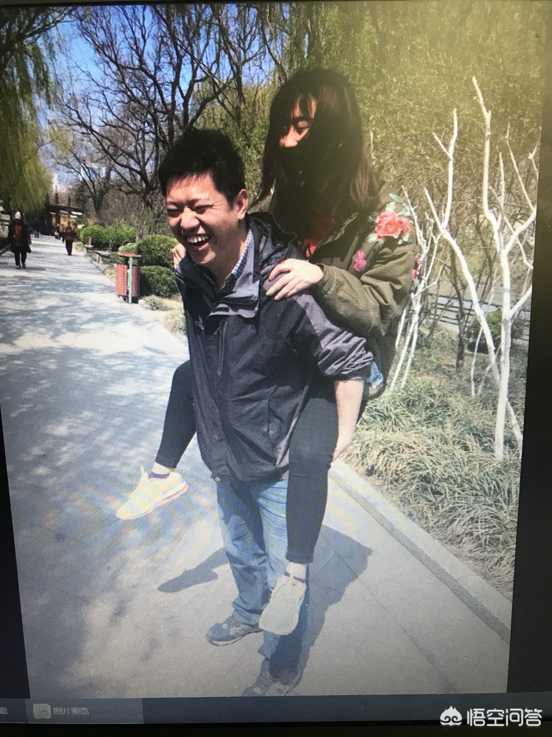 济南市郊种什么树