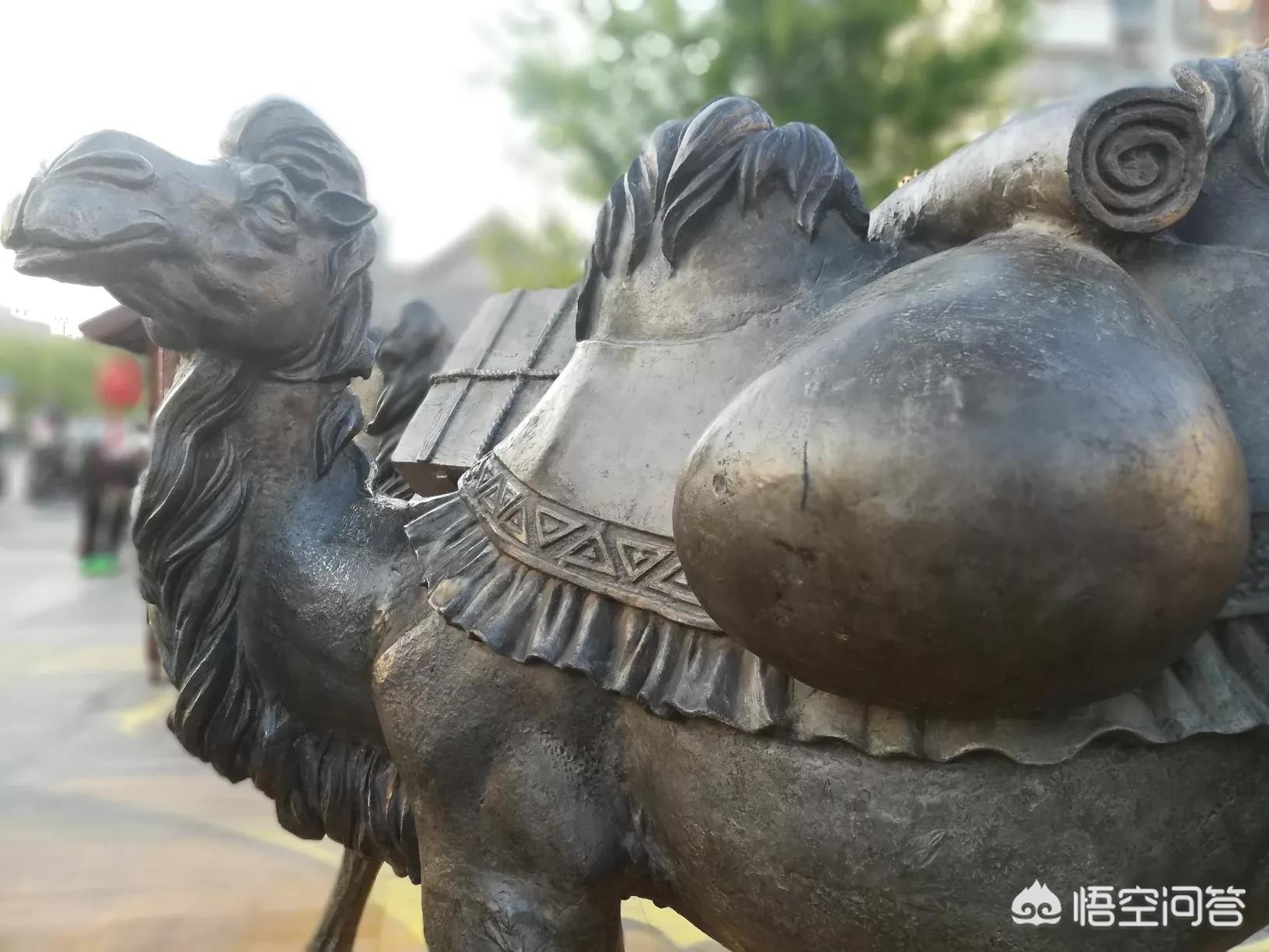 洛阳网站制作视频公司,洛阳直播公司有哪些?