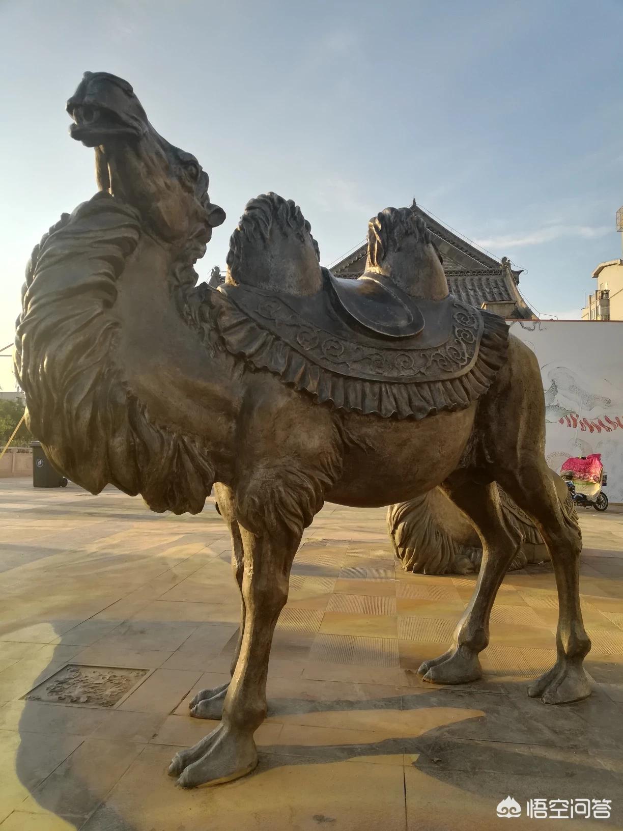 洛阳网站制作视频公司,洛阳直播公司有哪些?