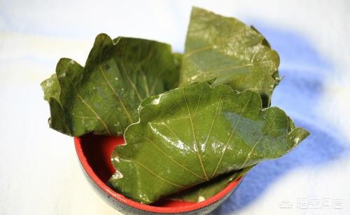 秦皇岛网红美食店,北戴河阿尔卡迪亚吃饭攻略?