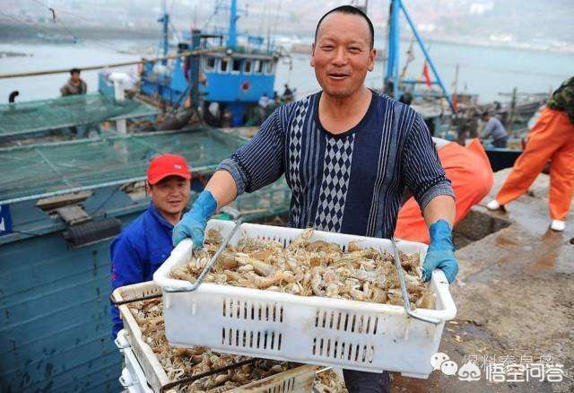 秦皇岛网红美食店,北戴河阿尔卡迪亚吃饭攻略?